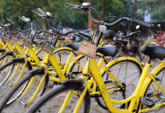 ofo：多地辦公室人去樓空為不實報道，不放棄地方市場