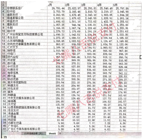 第三方支付市場群雄逐鹿，第一梯隊(duì)格局初現(xiàn)