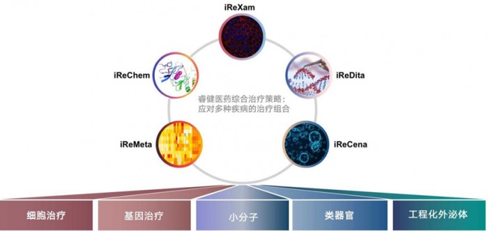 睿健醫(yī)藥NouvNeu001臨床實驗在即 細(xì)胞藥物提供帕金森治愈新可能