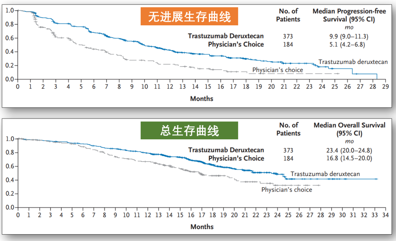 復(fù)旦張江研發(fā)的注射用FDA022抗體偶聯(lián)劑I期臨床試驗(yàn)獲受理